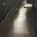 죠스떡볶이 운양역점