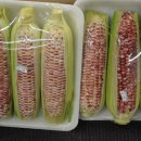 아시안마트 이미지