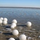 신기해변 이미지