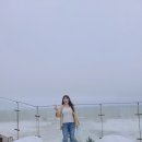 유코디