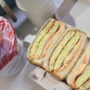 언니네식탁 | 제주여행 숙소 수줍은 언니네 불멍 후기