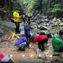 Tenby SEG-Year 11s swapped the Gunung Pulai Forest Reserve. 이미지