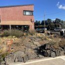 스테이하례 이미지