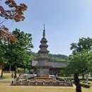 칠곡 기성리 삼층 석탑 | 칠곡 한바퀴-가산산성,기성리삼층석탑,송림사,신동입석,매원마을
