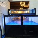 무지개해양수족관 이미지