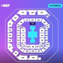 부림상사 | 2025 스카이 페스티벌 다녀온 후기 / 11.8 (토) / 📍인스파이어 아레나 (feat. ADP☝️)