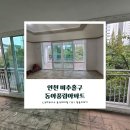 풍림아파트 티스토리