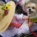 견생공감 이미지