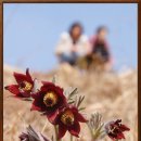 한재공원 이미지