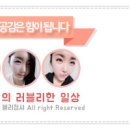 디디커스텀