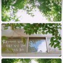 싱그러운아침