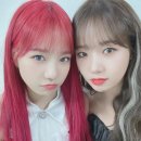 유정유리 이미지