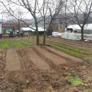 솔바람농장 이미지