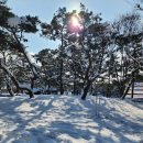 금릉소공원 이미지