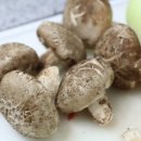 수현농장 이미지