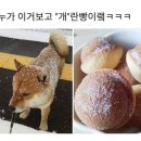 개란빵