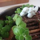 허브랑러브