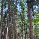 갈맷길(7-1구간) 이미지