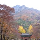 인화동-08 이미지