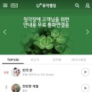 컬러링 순위 찬란한계절 1위💚 이미지