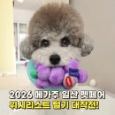 VIP펫 | 2026 메가주 일산 가기 전 필수! 지갑 열리게 만드는 케이펫페어 위시리스트 TOP 10