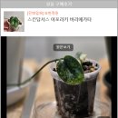 묘한정원 이미지