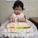 11개월 아기 유아식 준비물 모윰 실리콘 초강력 5구 흡착식판 후기