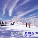 에이치엠파트너스 이미지