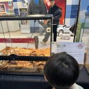 환경생태관 | 스타필드 운정 다흑 나비생태관 팝업스토어｜곤충·파충류 체험 솔직후기