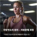 지방이 빠지는 과정, 제대로 알고 운동하자! 이미지