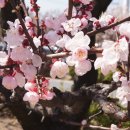 김해건설공업고등학교 이미지