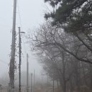 보나의언덕 이미지