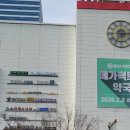 약국 티스토리