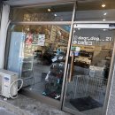 길주남로65번길 | [애견] 크리스마스 기념일 강아지 케이크 추천 &lt;부평 디어도그&gt; 후기 (내돈내산)