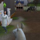 기복농장 이미지