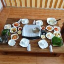 꽃우물오리