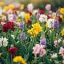 푸르른 농장 | 서천 별꽃농장, 아이와 특별한 추억 만들고 싶다면? - 실제 가족 후기