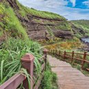 모리 다락방 이미지