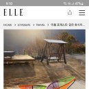 포레스트반디