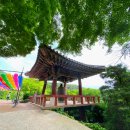 꽃지주유소 이미지