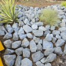 보람동행정복지센터 이미지