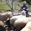 동은목장 이미지