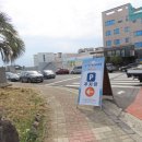 서귀동-19 | 2월7일까지만! 제1회 서귀포 부시리 축제 현장 후기 &amp; 주차 팁 정리