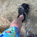 (주)슈즈야 | 🏖️ 가성비 끝판왕 아쿠아 삭스 워터 슈즈 사용 후기 사진, 영상 엄청 많음 스압주