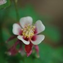 명자농장 이미지