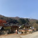 깊이울 달빛 캠핑장 이미지