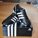 수원-0968 이미지