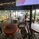 우드님프 이미지