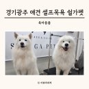 경기켄넬 | 경기광주 강아지 셀프목욕 쉴가펫 대형견 이용후기