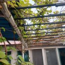 솔바다민박 이미지